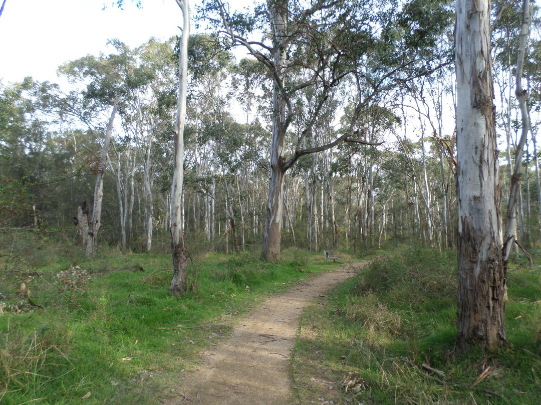 Rouse Hill Regional Park景点图片