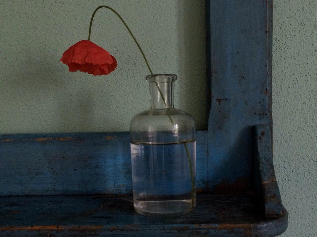 Carcare酒店住宿-I Calleri Garden & Rooms