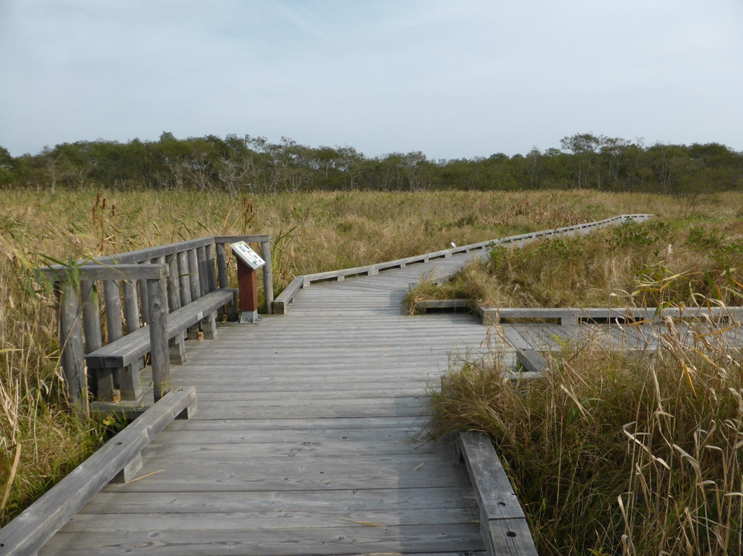 Onnenai Boardwalk-鹤居村必去景点