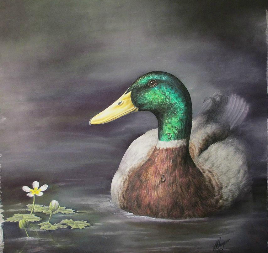 The Old Kennels - Courses-Dunkeswell必去景点