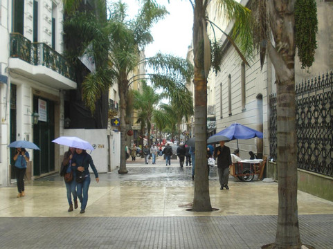 Peatonal Sarandi-蒙得维的亚必去景点