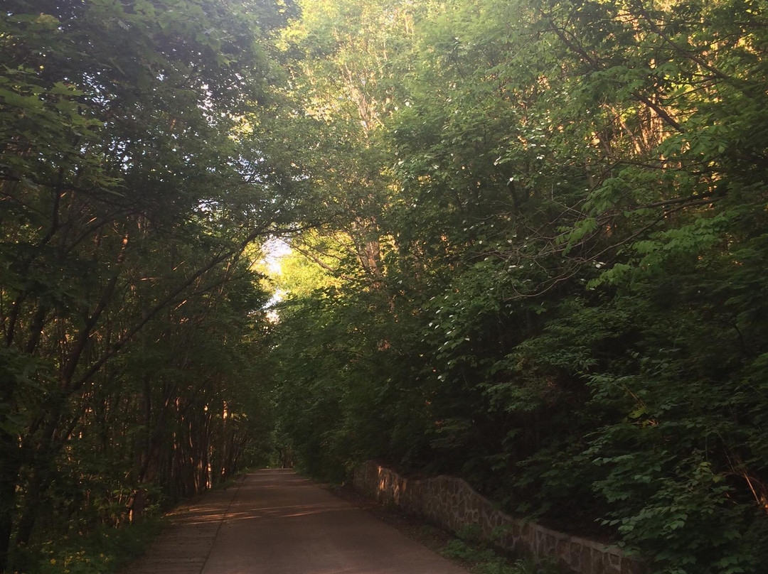 兴安森林公园-伊春市必去景点