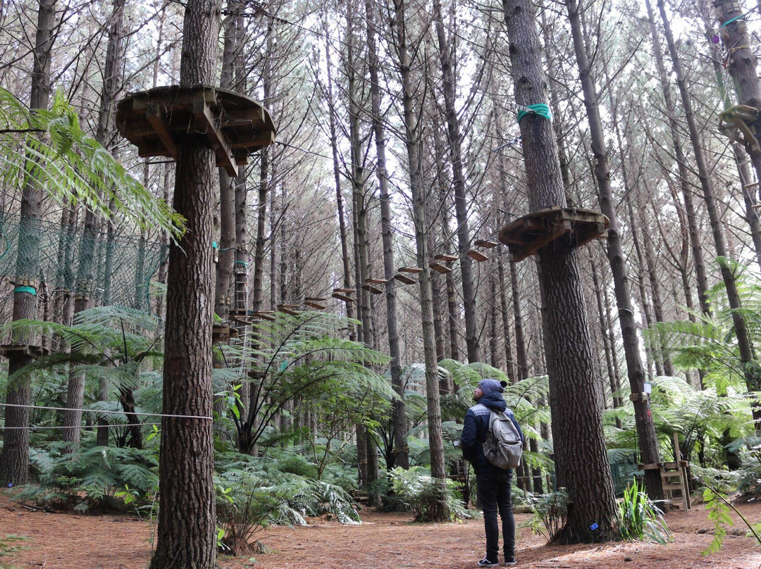 Adventure Forest景点图片
