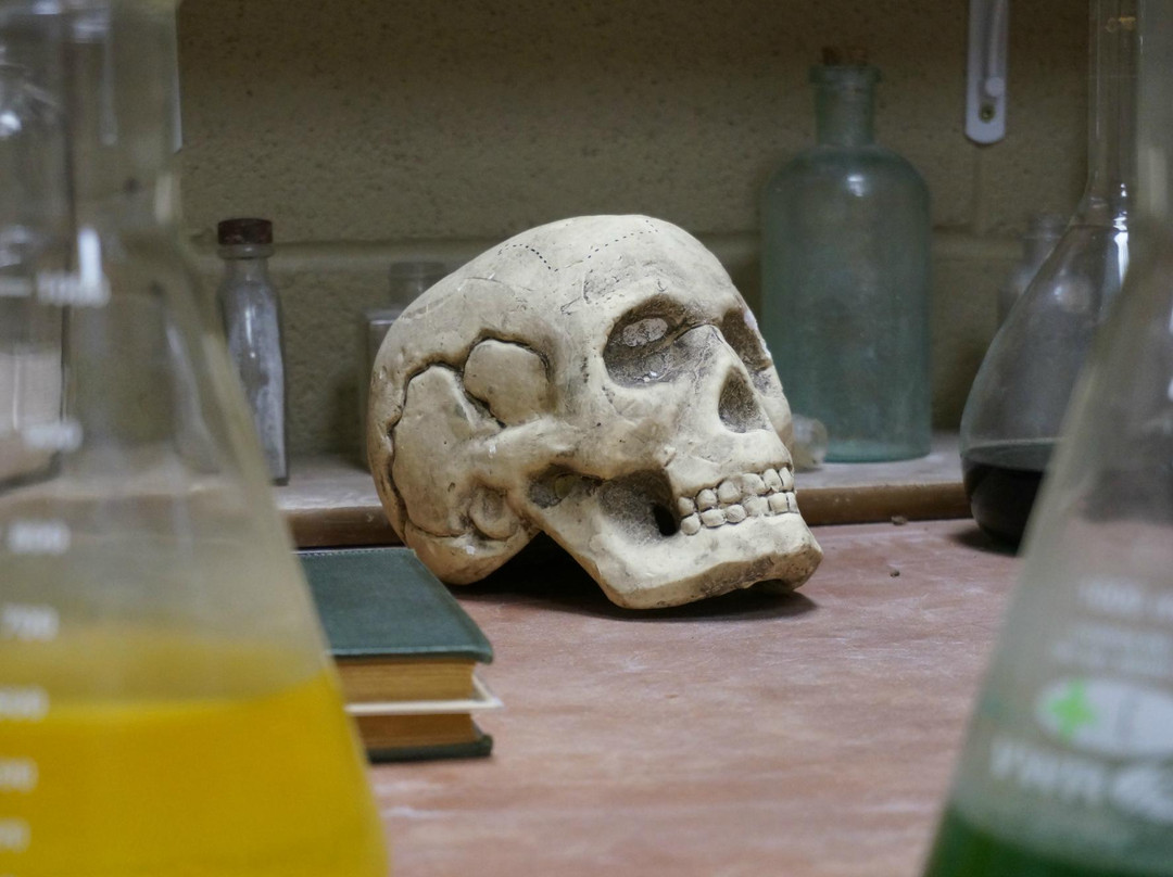 Trapped! Escape the Room-拉伯克县必去景点