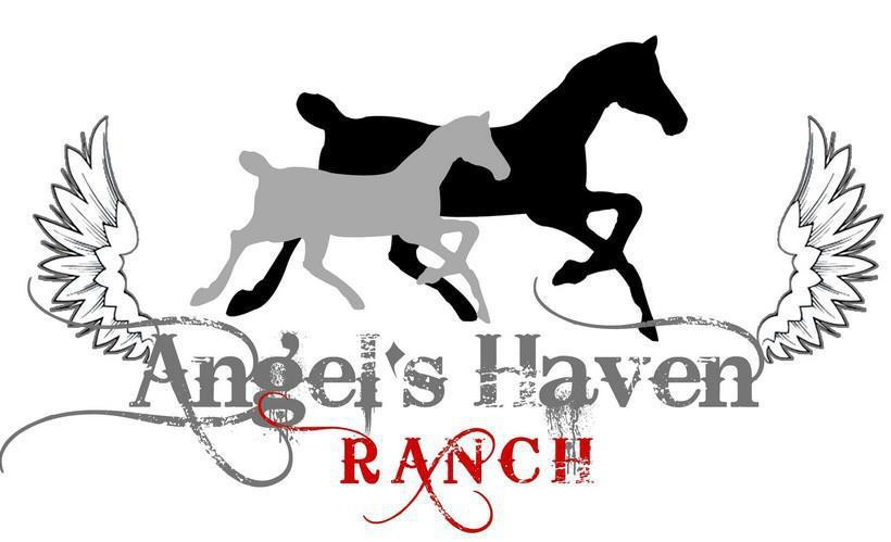 Angel's Haven Ranch-霍姆斯特德必去景点