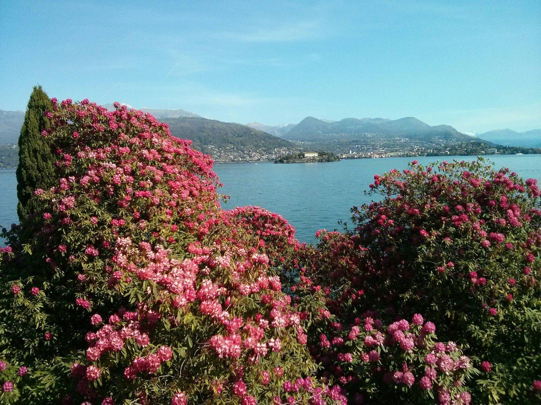 博洛梅欧宫景点图片