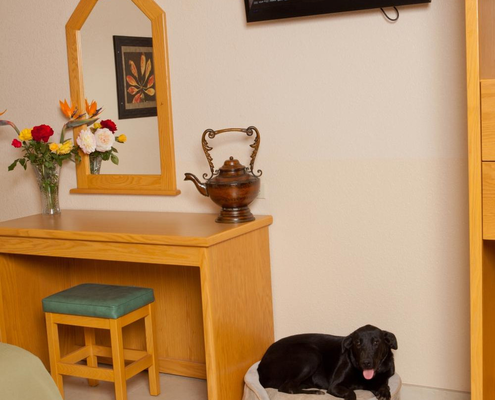 La Villa de San Quintin Hotel主图