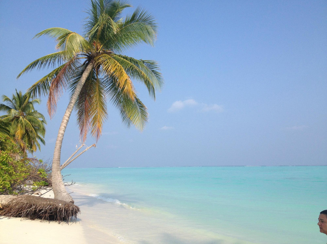 Lakshadweep旅游景点-Island of Thinnakara