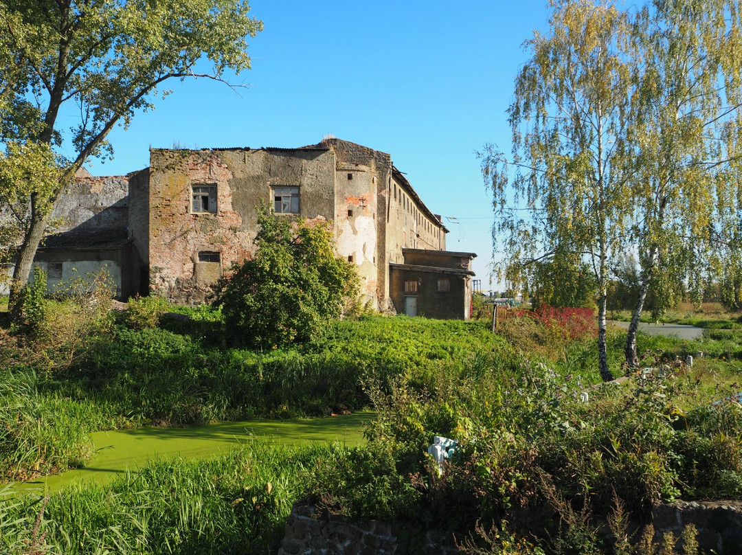 Labiau Castle景点图片