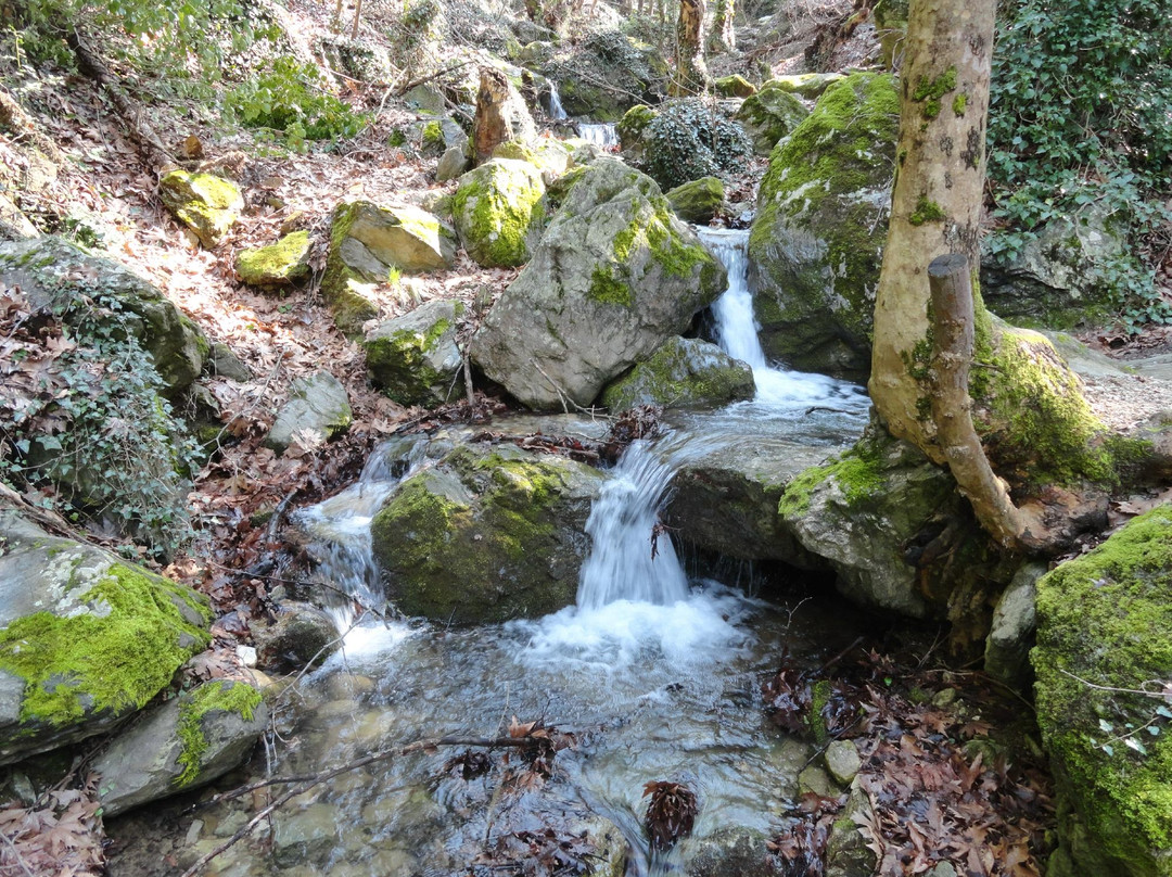 Spring of Manas景点图片