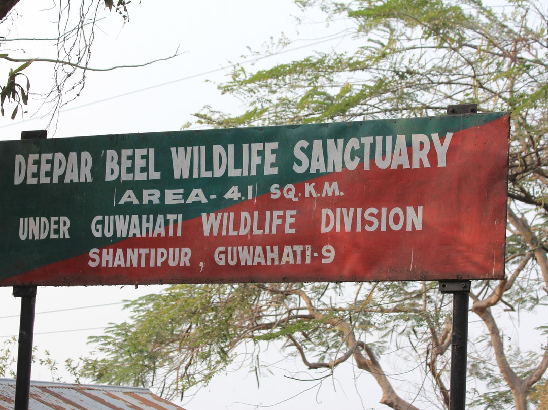 Deepor Beel Wildlife Sanctuary景点图片