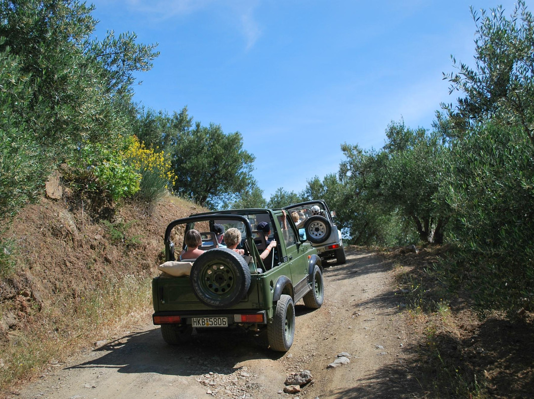Jeep Safari景点图片