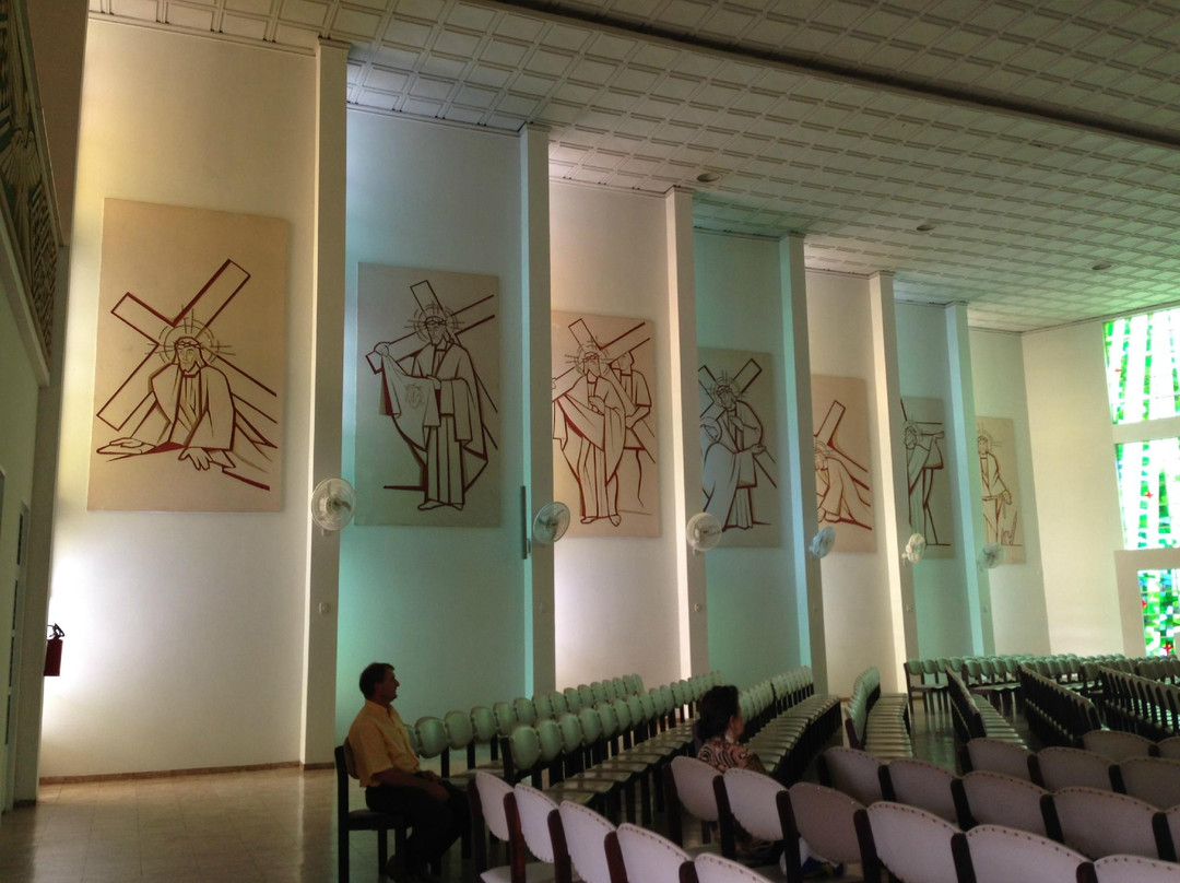 Catedral São José景点图片