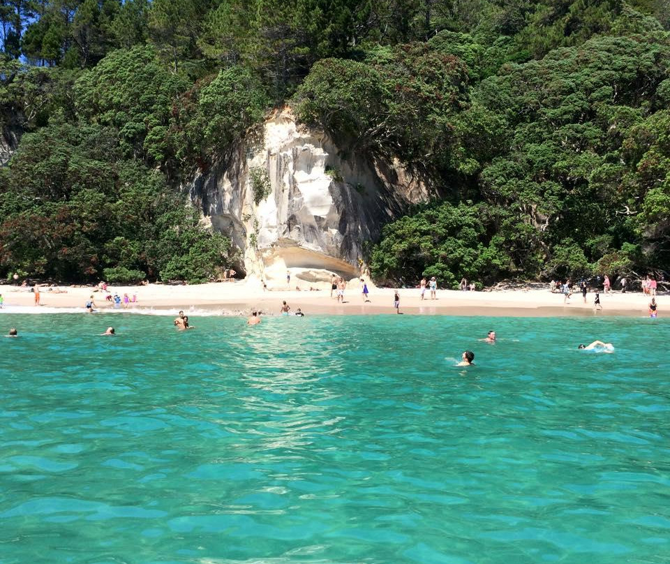 Ocean Leopard - Cathedral Cove Boat Tours-菲蒂昂格必去景点