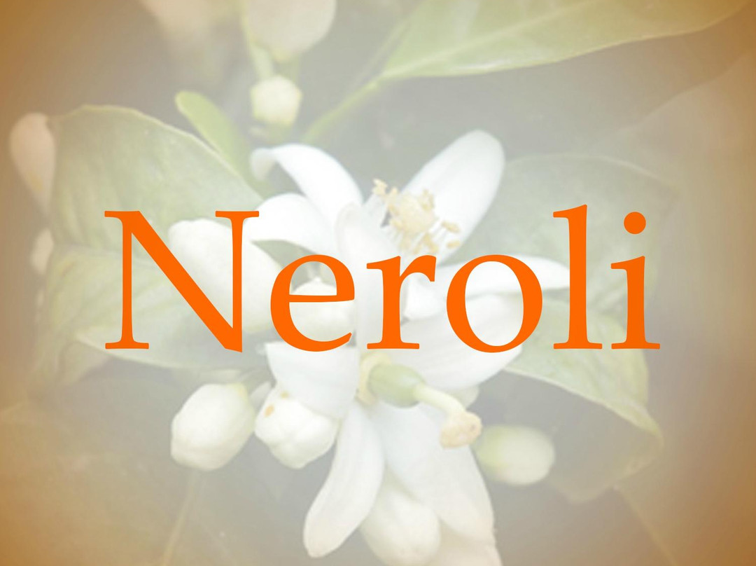 Neroli Institute景点图片