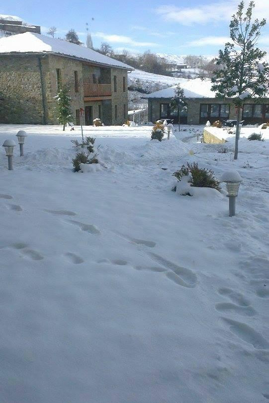 Kamenica Residence主图