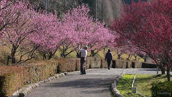 Hotarunosato, Motogi River Park-福津市必去景点
