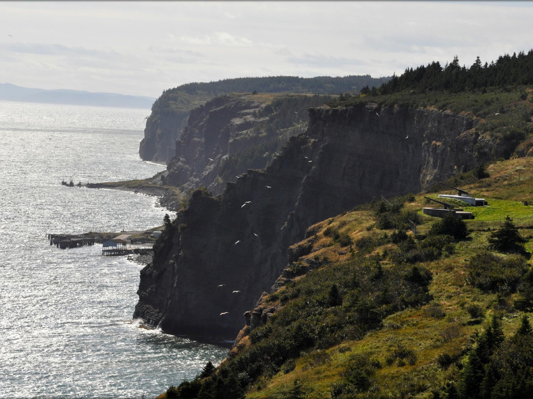 Across The Tickle Tours-Bell Island必去景点