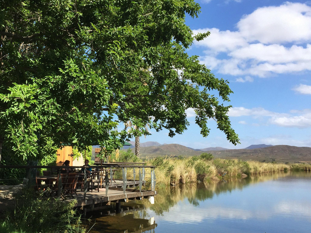 Springfield Estate Winery-Robertson必去景点