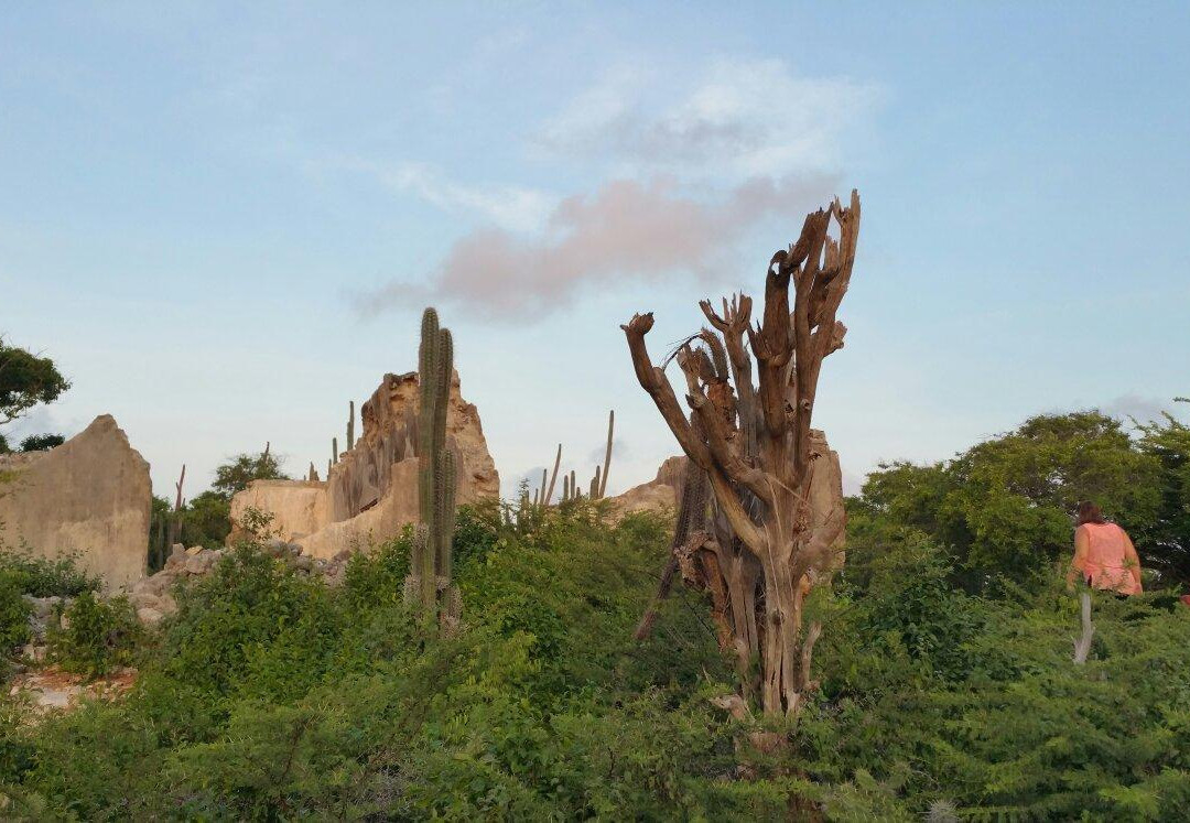 Savonet Museum-Christoffel National Park必去景点