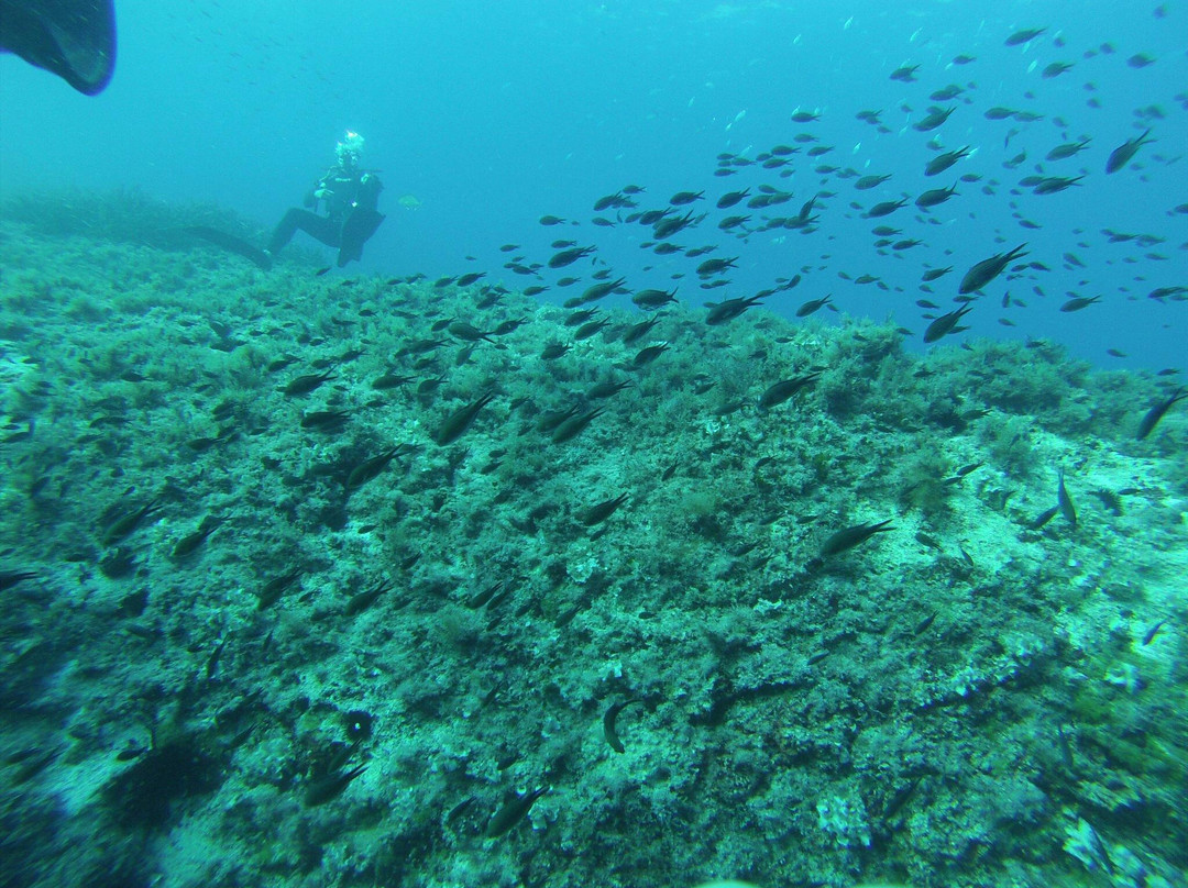 Diving Center Subfari-Sant Joan de Labritja必去景点
