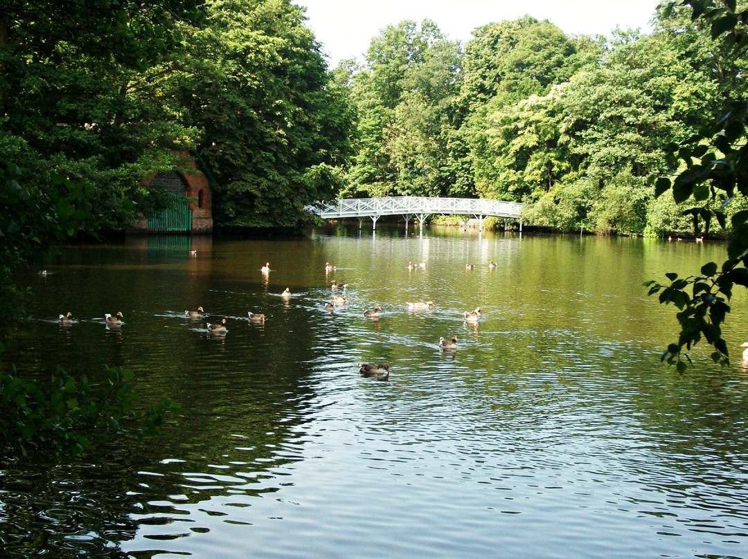 Hartsholme Country Park景点图片
