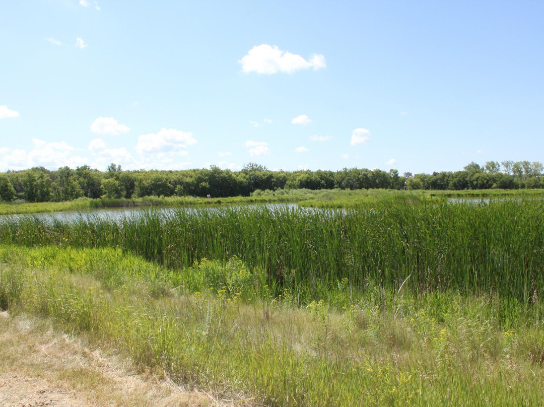 Riverbank Discovery Centre-布兰登必去景点