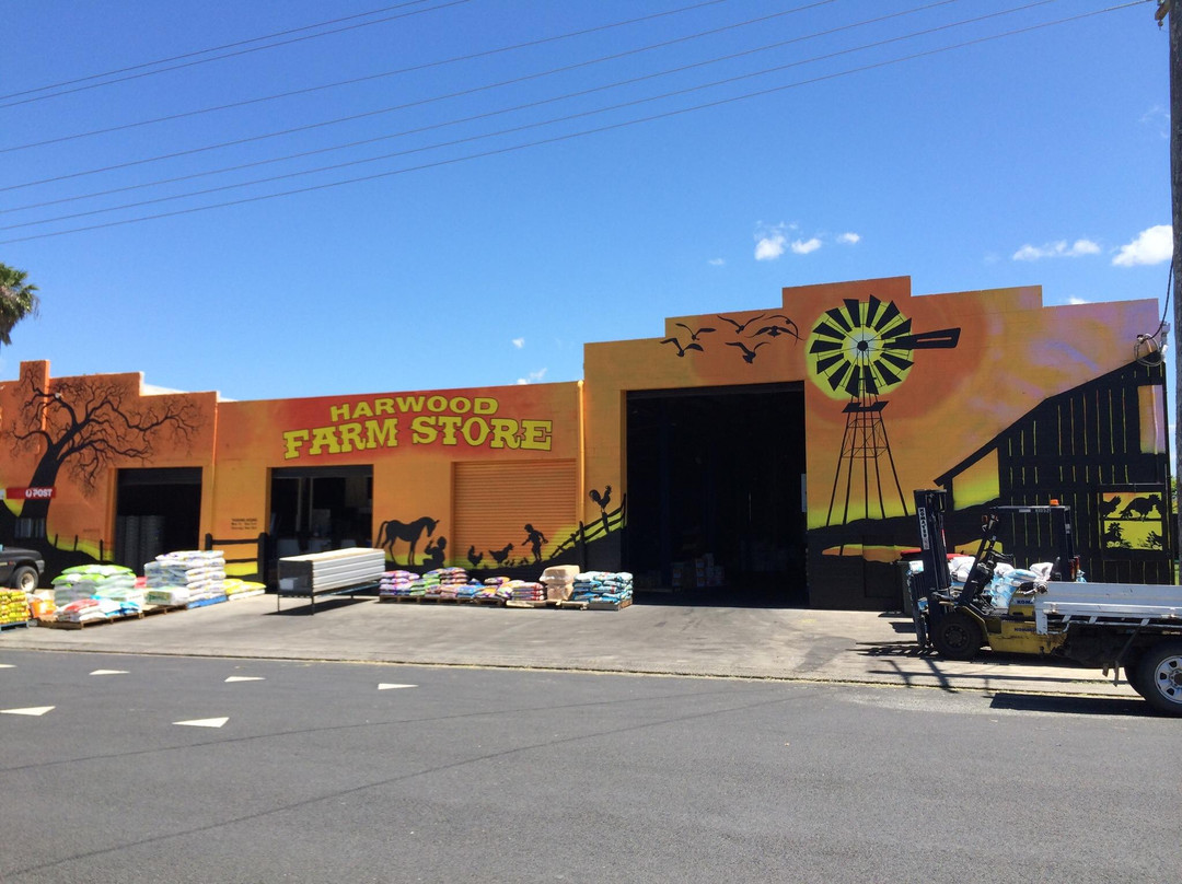 Yamba Tours-Yamba必去景点