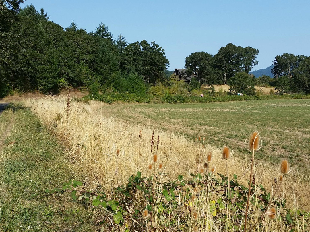 Bald Hill Natural Area-科瓦利斯必去景点