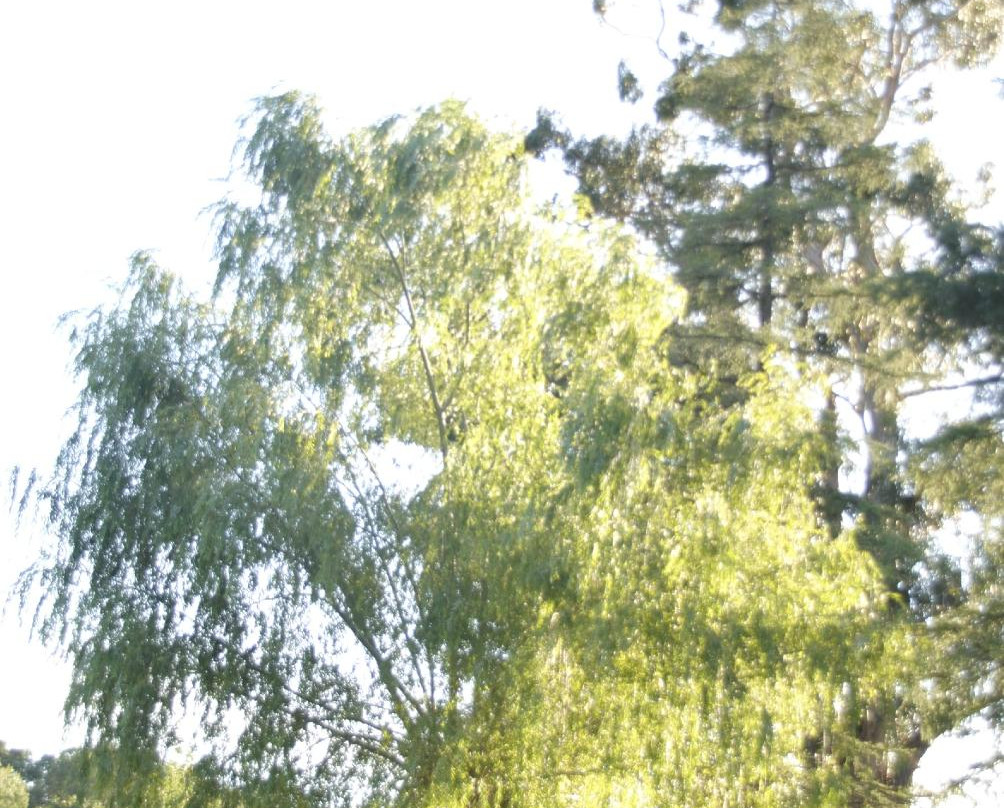 El Salugral Termal Resort主图