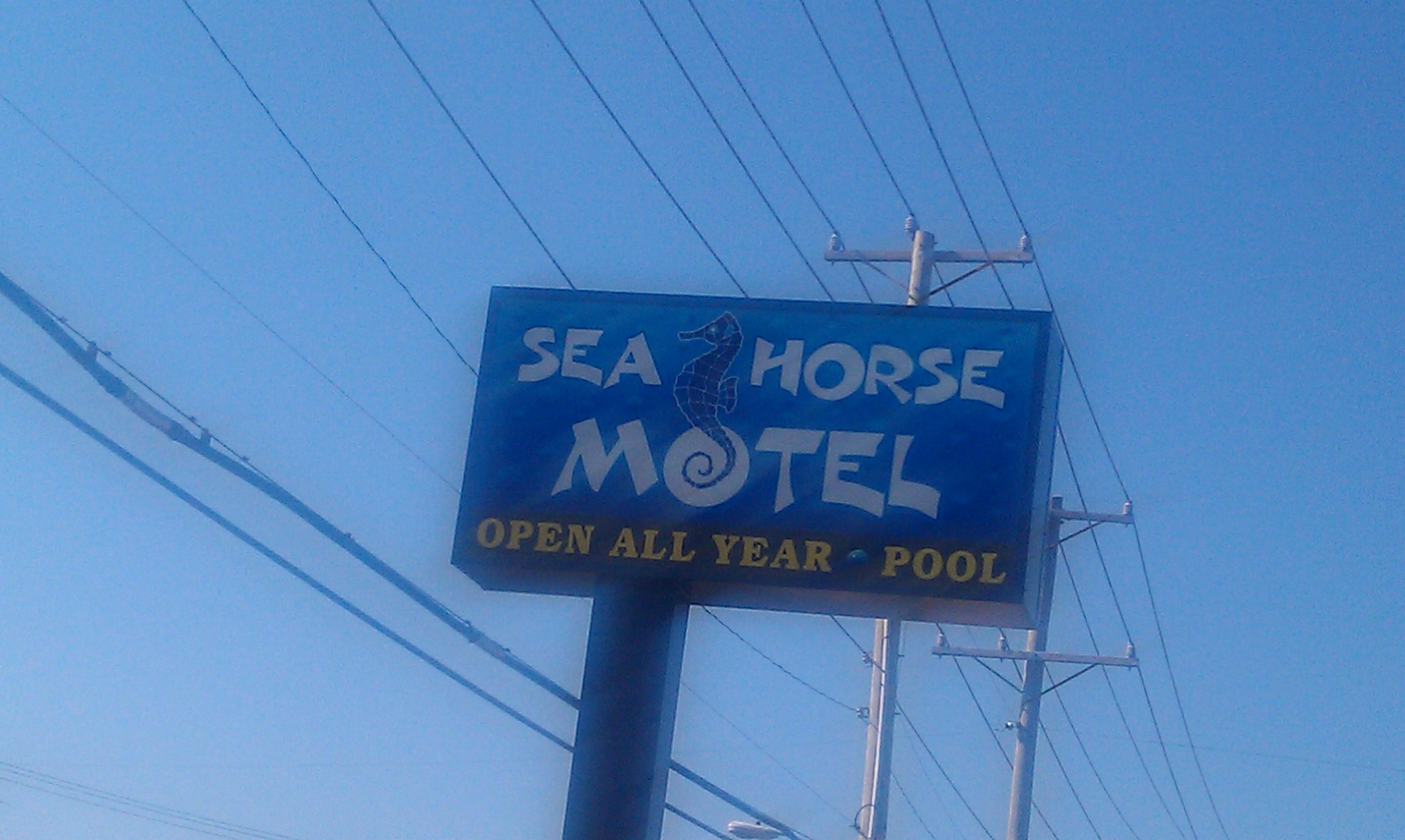 Sea Horse Motel-客卧