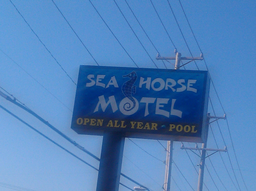 Sea Horse Motel主图