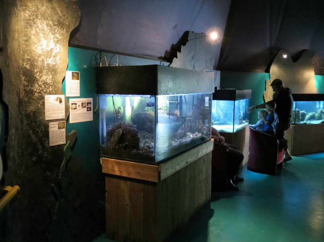 Ocean Lab - Sea Trust Wales-Goodwick必去景点