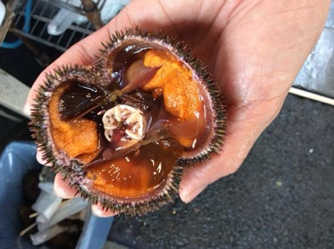 二条市场-札幌市必去景点