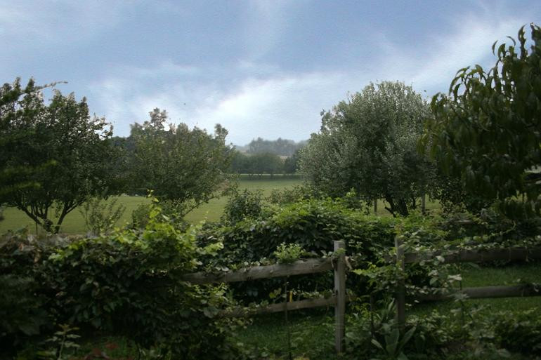 Butterfly Fields Bed and Breakfast主图