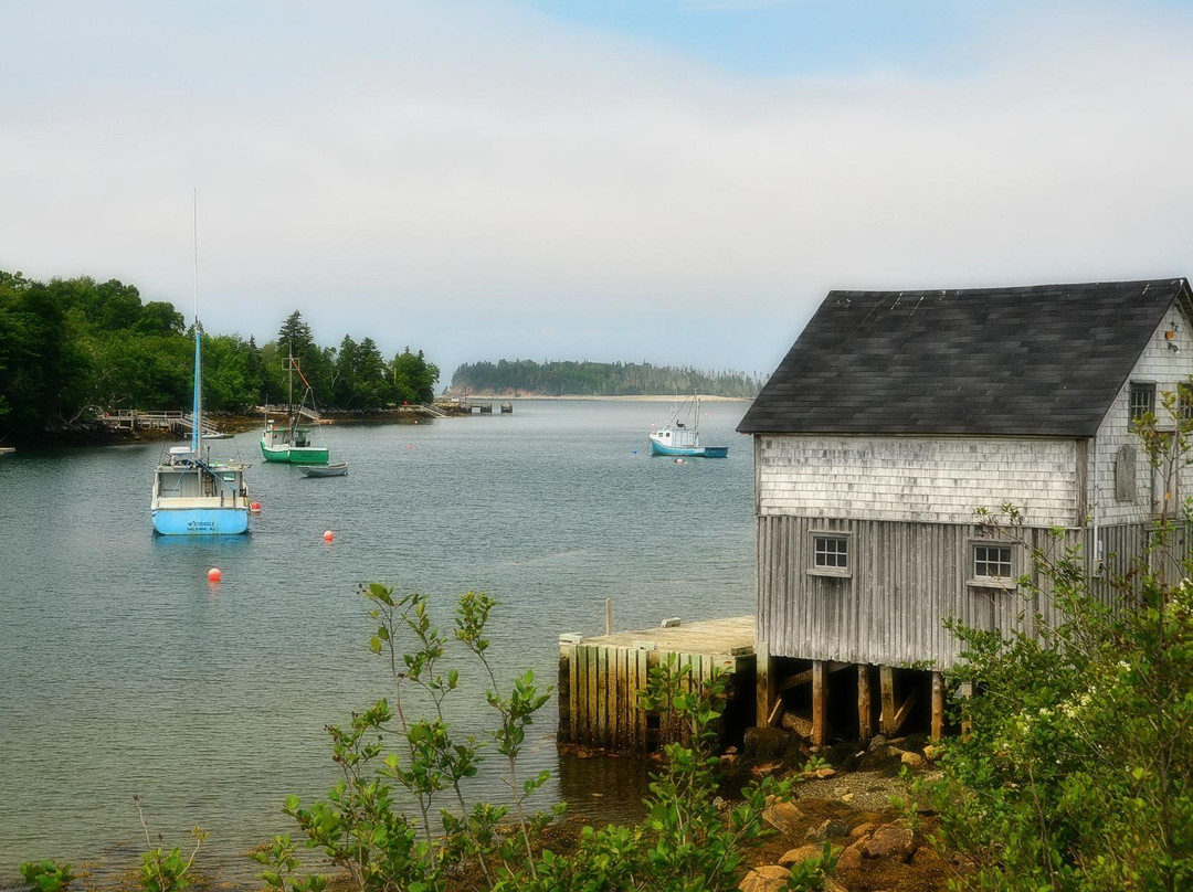 Halifax Taxi Tours-哈利法克斯必去景点