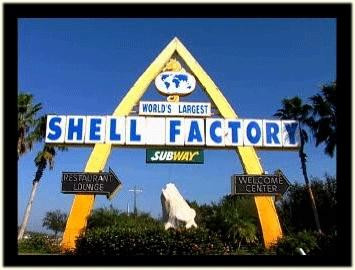 Shell Factory & Nature Park景点图片