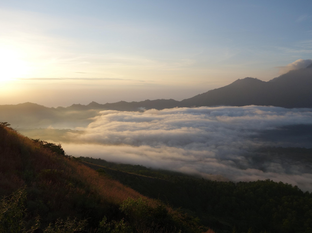 Dewa Bali Tours-乌布必去景点