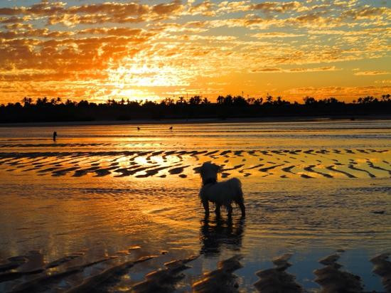 Pretty Pool-Port Hedland必去景点