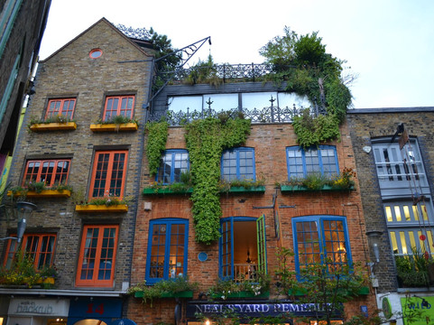 Neal's Yard商店-伦敦必去景点