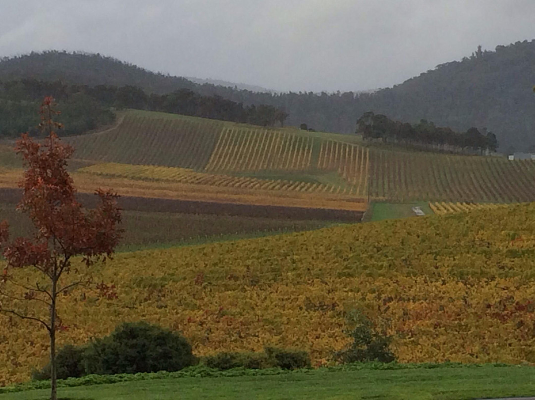 De Bortoli Winery景点图片