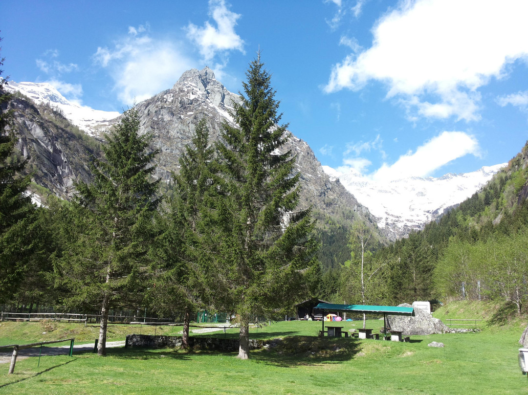Camping lo Scoiattolo