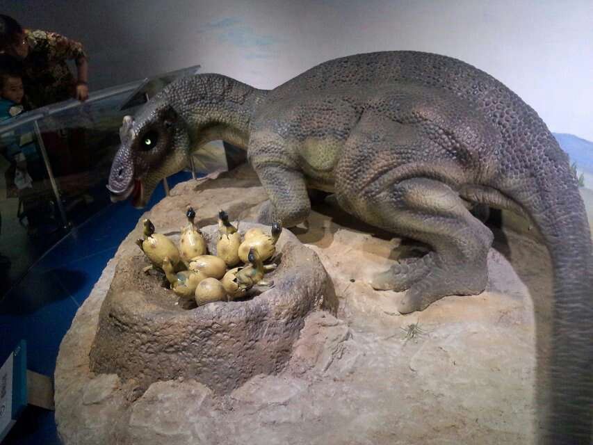 北京自然博物馆-北京市必去景点