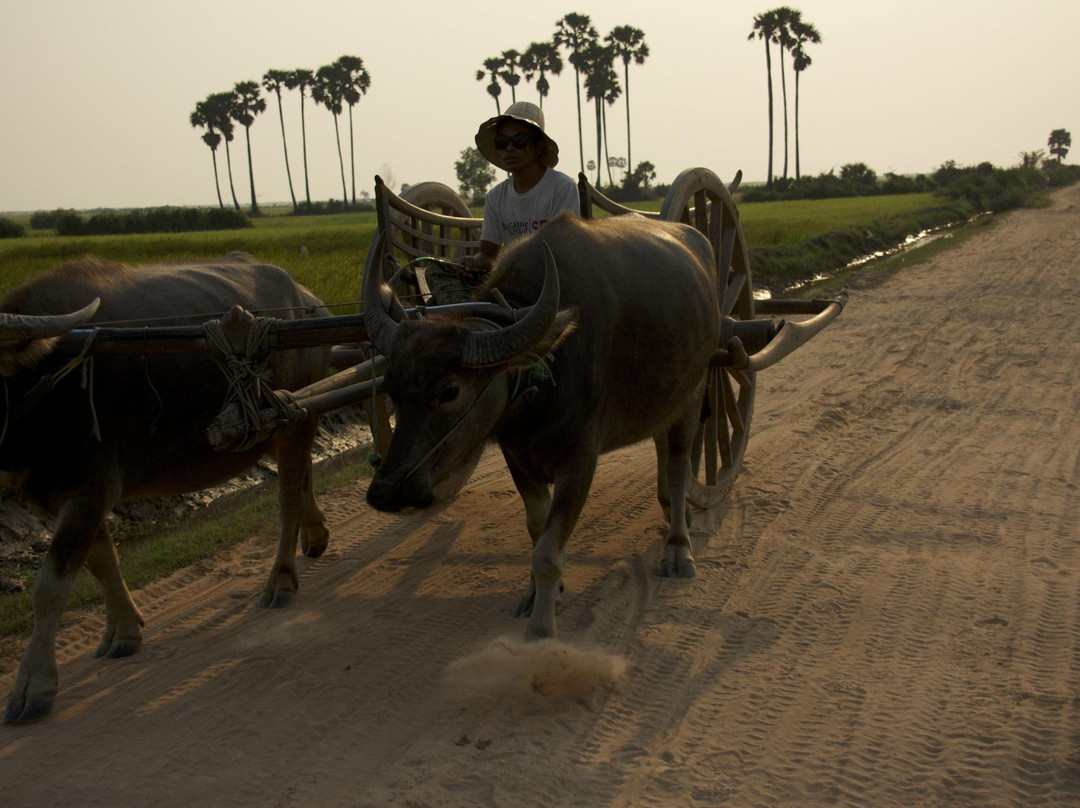 Peace Of Angkor Tour-暹粒必去景点