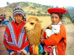 Argenton Alpacas景点图片
