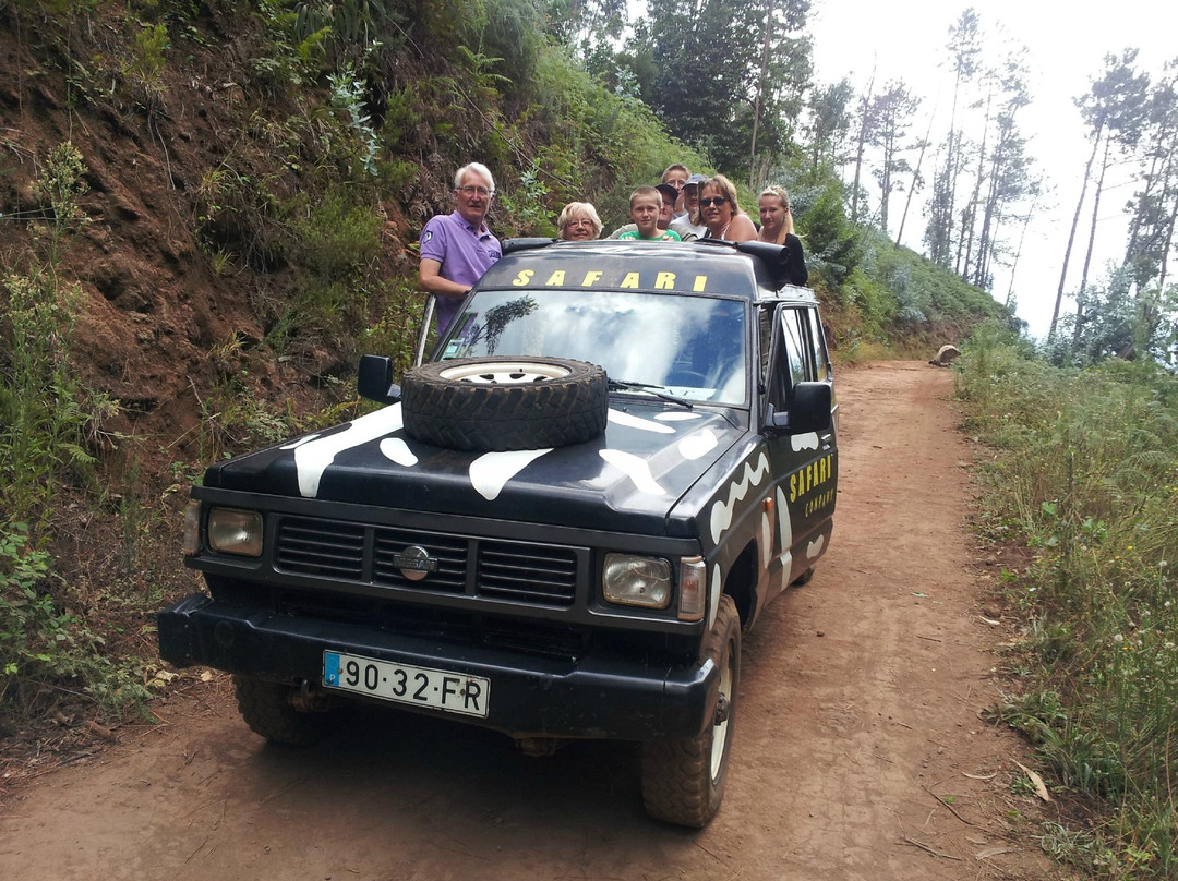 Safari Madeira Island-沙尔必去景点