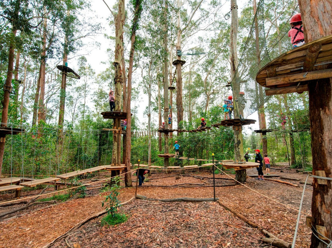 TreeTops Central Coast-怀昂溪必去景点