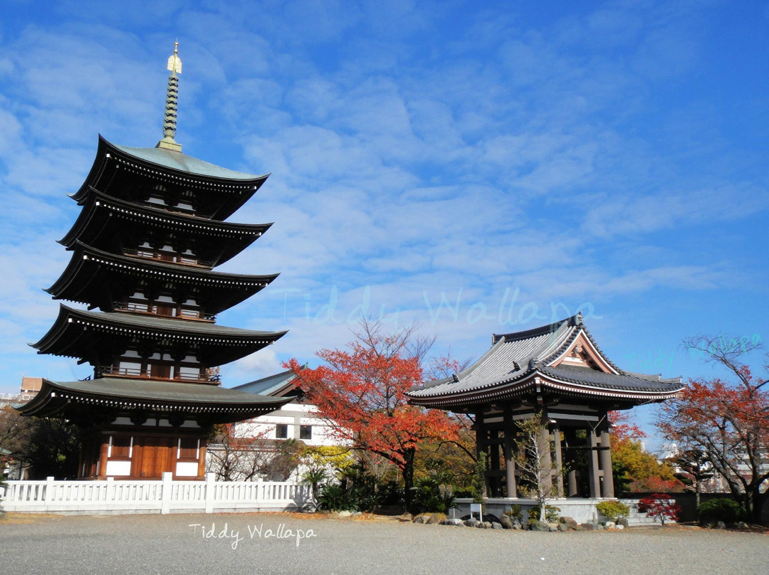 Nittai-ji Temple-名古屋市必去景点