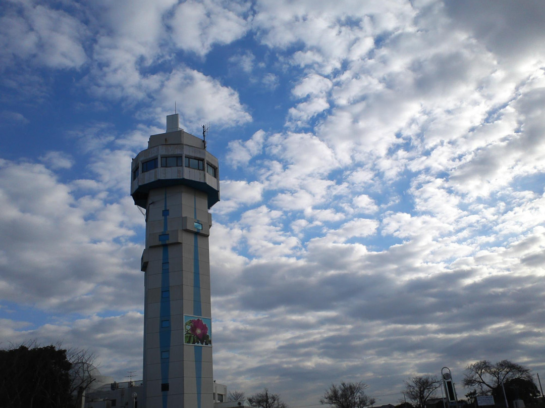 Ono Shiosai Hamanasu Park-鹿岛市必去景点