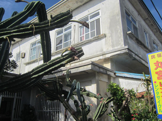 Minshuku Marumiya主图